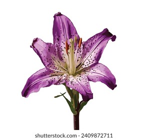 one stick of purple stargazer flower