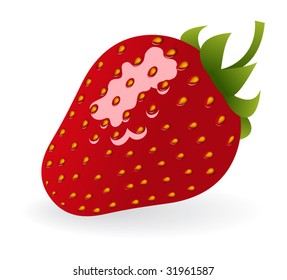 One strawberry on white background. Vector illustration.