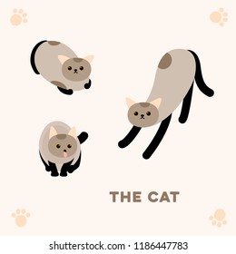 One stretching, one vomiting, one sitting Cat