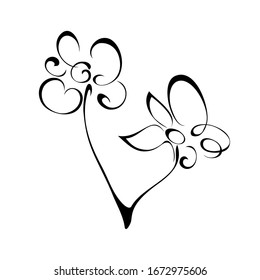 one stylized blooming flower on a short stalk without leaves in black lines on a white background