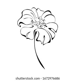 one stylized blooming flower on a short stalk without leaves in black lines on a white background
