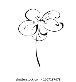 one stylized blooming flower on a short stalk without leaves in black lines on a white background