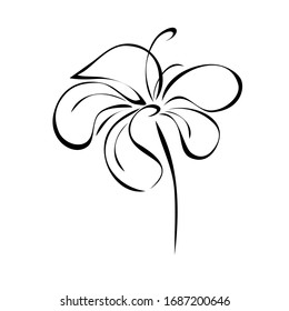 one stylized blooming flower on a short stalk without leaves in black lines on a white background