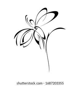 one stylized blooming flower on a short stalk without leaves in black lines on a white background
