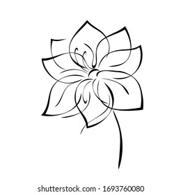 one stylized blooming flower on a short stalk without leaves in black lines on a white background