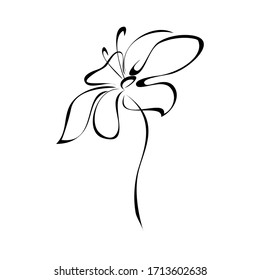 one stylized blooming flower on a short stalk without leaves in black lines on a white background