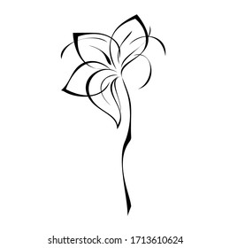 one stylized blooming flower on a short stalk without leaves in black lines on a white background
