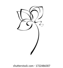 one stylized blooming flower on a short stalk without leaves in black lines on a white background