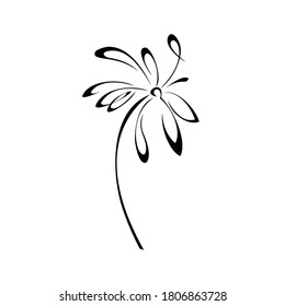 one stylized blooming flower on a short stalk without leaves in black lines on a white background