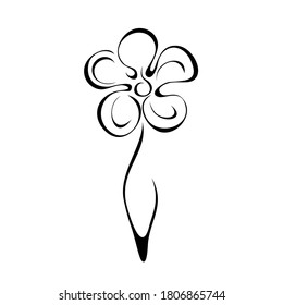 one stylized blooming flower on a short stalk without leaves in black lines on a white background