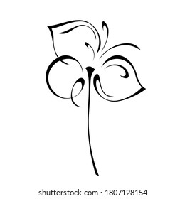 one stylized blooming flower on a short stalk without leaves in black lines on a white background