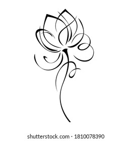 one stylized blooming flower on a short stalk without leaves in black lines on a white background