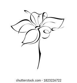 one stylized blooming flower on a short stalk without leaves in black lines on a white background