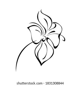 one stylized blooming flower on a short stalk without leaves in black lines on a white background