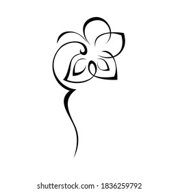 one stylized blooming flower on a short stalk without leaves in black lines on a white background
