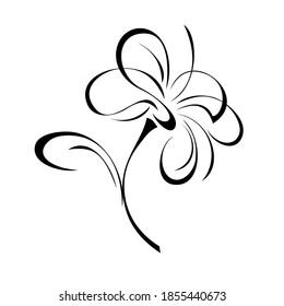 one stylized blooming flower on a short stalk without leaves in black lines on a white background