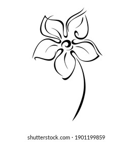 eine stylisierte blühende Blume auf einem kurzen Stiel ohne Blätter in schwarzen Linien auf weißem Hintergrund