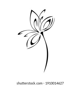 one stylized blooming flower on a short stalk without leaves in black lines on a white background
