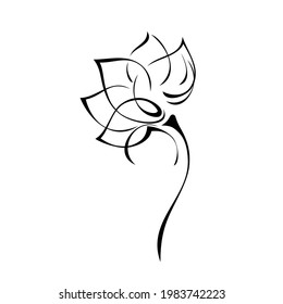 one stylized blooming flower on a short stalk without leaves in black lines on a white background