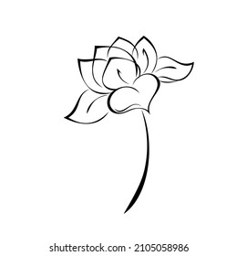 one stylized blooming flower on a short stalk without leaves. graphic decor