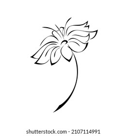 one stylized blooming flower on a short stalk without leaves. graphic decor