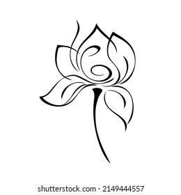 one stylized blooming flower on a short stalk without leaves. graphic decor
