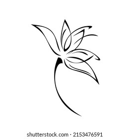 one stylized blooming flower on a short stalk without leaves. graphic decor