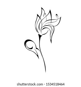 one stylized flower bud on a short stem with one curl in black lines on a white background