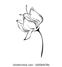 one stylized flower bud on a short stem without leaves in black lines on a white background