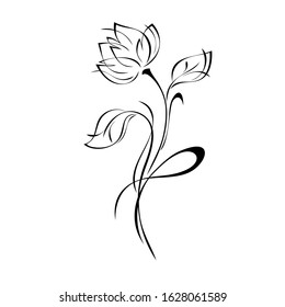 one stylized flower Bud on a curved stem with leaves and curls in black lines on a white background