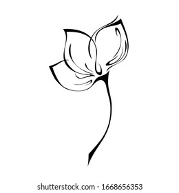 one stylized flower bud on a short stem without leaves in black lines on a white background