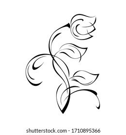 one stylized flower Bud on a curved stem with leaves and curls in black lines on a white background