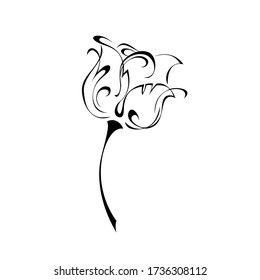 one stylized flower bud on a short stem without leaves in black lines on a white background