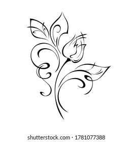 one stylized flower Bud on a curved stem with leaves and curls in black lines on a white background
