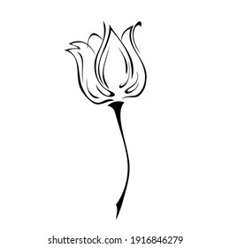 one stylized flower bud on a short stem without leaves in black lines on a white background