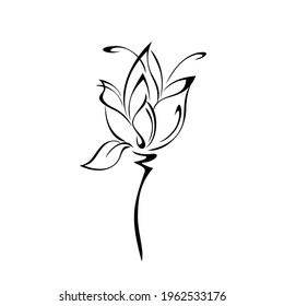 one stylized flower bud on a short stem without leaves in black lines on a white background