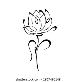 one stylized flower bud on a short stem with curls black lines on a white background