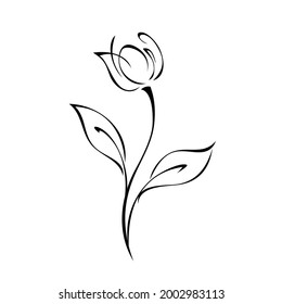 one stylized flower Bud on a curved stem with leaves in black lines on a white background
