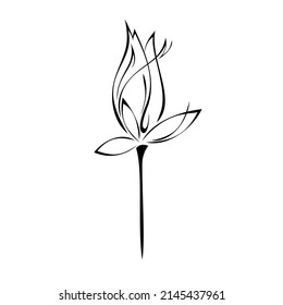one stylized flower bud on a short stem without leaves in black lines on a white background