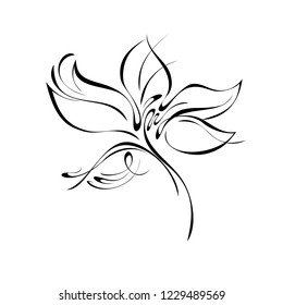 one stylized flower with large petals in black lines on a white background