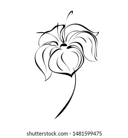 one stylized flower with large petals on a short stalk in black lines on a white background