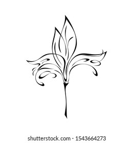 one stylized flower with large petals on a short stalk in black lines on a white background