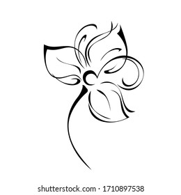 one stylized flower with large petals on a short stalk in black lines on a white background