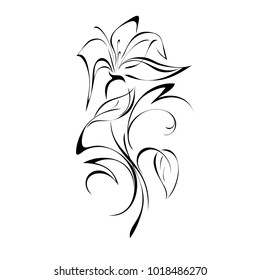 one stylized flower with leaves in black lines on a white background