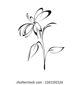 one stylized flower on a short stem with leaves in black lines on a white background