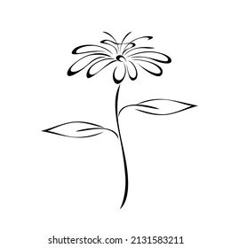 one stylized flower on a stalk with two leaves in black lines on a white background