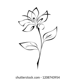 one stylized flower on a stem with leaves in black lines on a white background