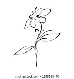 one stylized flower on a stem with leaves in black lines on a white background