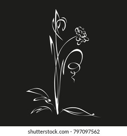 one stylized flower in white lines on a black background