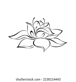 one stylized full blooming flower with large petals without a stem. graphic decor